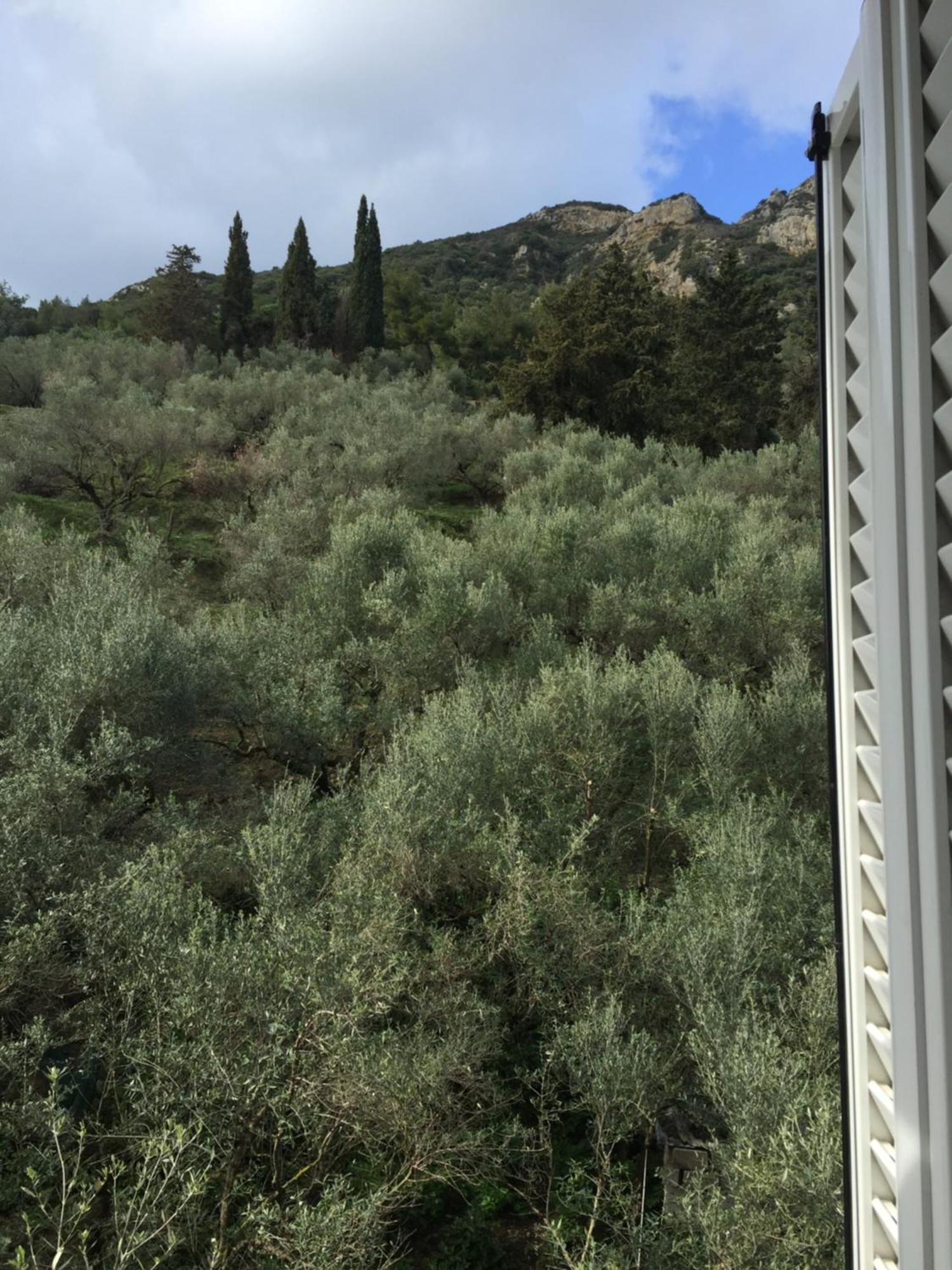 Belvedere Zakynthos Studios Vasilikí Chambre photo