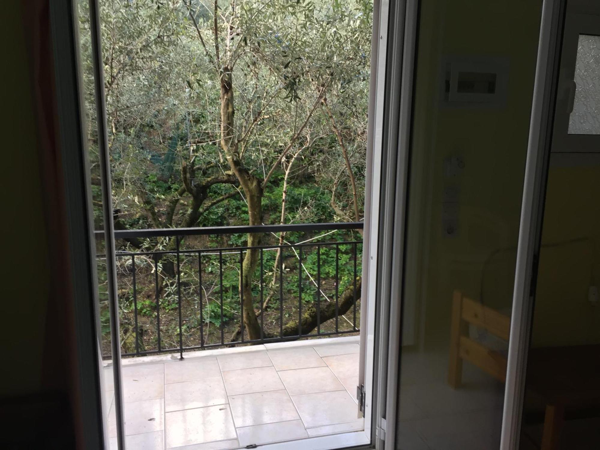 Belvedere Zakynthos Studios Vasilikí Chambre photo