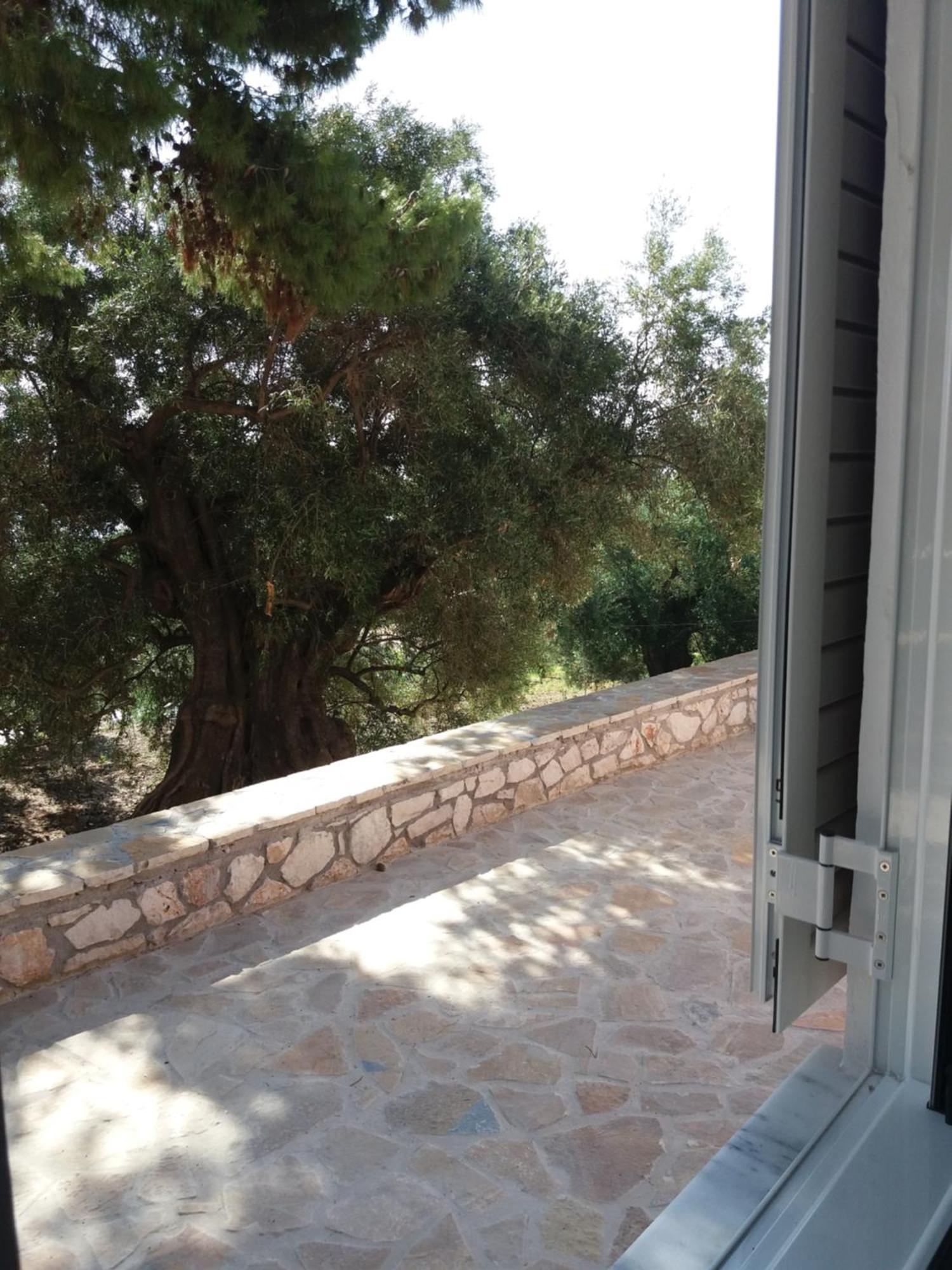 Belvedere Zakynthos Studios Vasilikí Chambre photo