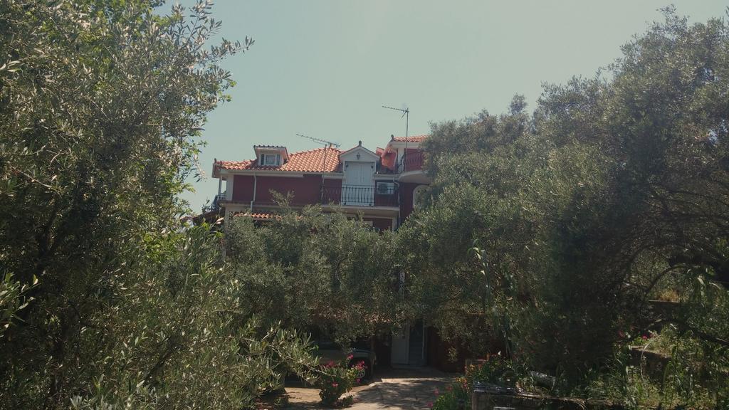 Belvedere Zakynthos Studios Vasilikí Extérieur photo